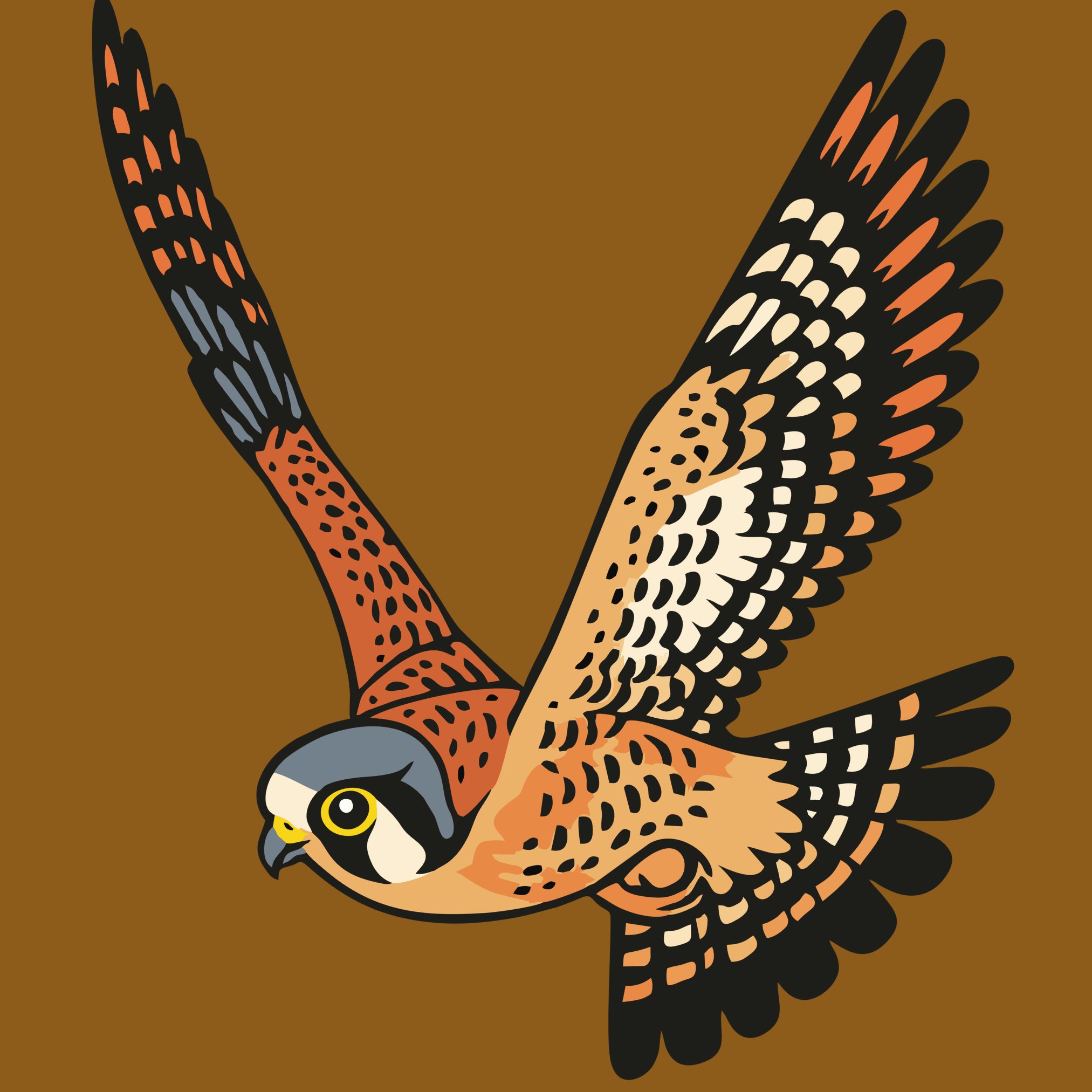 Birds of Prey